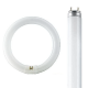 Fluorescent tubes
