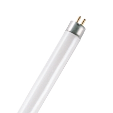 Basic T5 Short 13 W/640