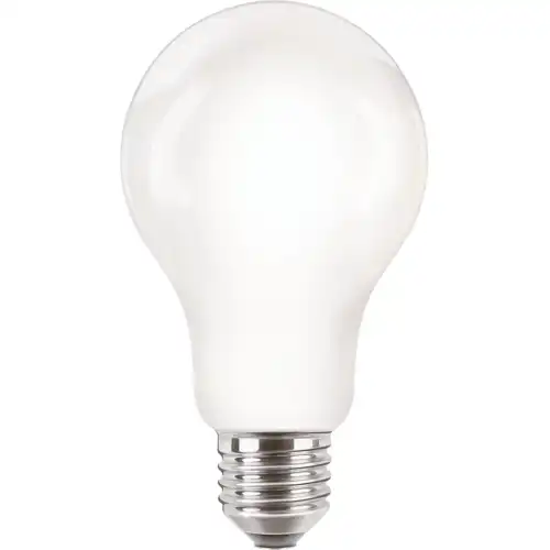 CorePro LEDBulbND 120W E27 A67 840 FR G