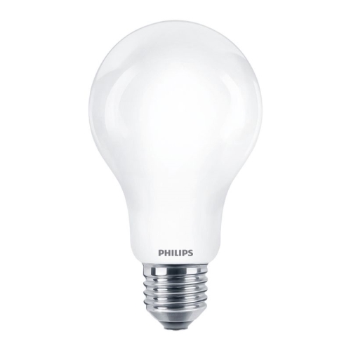 CorePro LEDBulbND 120W E27 A67 865 FR G