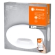 Donut Donut White 400mm TW
