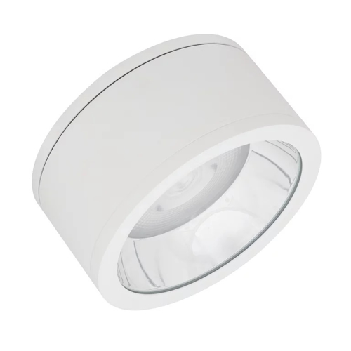 DOWNLIGHT SURFACE IP65 DN 250 P 45W 840 36D WT