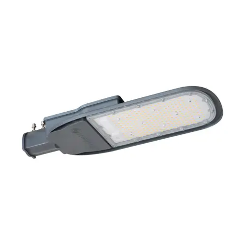 ECO AREA HIGH POWER SPD 150W 865 IP66 GY