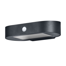 ENDURA STYLE SOLAR OVALS WALLSEN830OSRAM