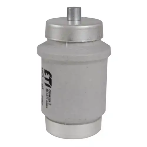 ETI fuse. ceramic 100A 500V