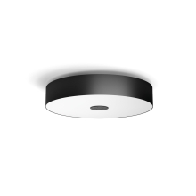Fair Hue ceiling lamp black 1x39W 24V