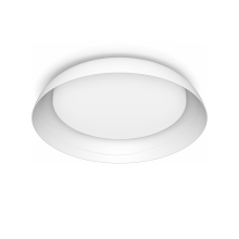 Fleta UE Ceiling SS W 10W 40K