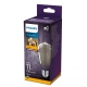 HILIPS LED bulb.filam. ST64 2.3W/11W E27 1800K 100lm Non-Dim 15Y ; smoke.
