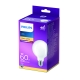 HILIPS LED globe G93 7W/60W E27 2700K 806lm NonDim 15Y opal