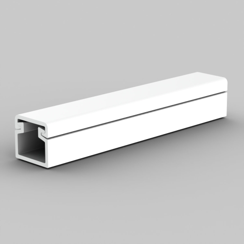 Insertion trunking LV 11x10, white, 2 m, carton