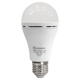 LED CLASSIC LAMPS FOR FACILITIES S 60  8 W/6500 K E27