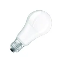 LED PCR LAMP WITH CLASSIC A 13W 865 Frosted E27