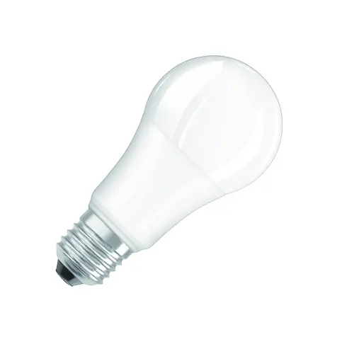 LED PCR LAMP WITH CLASSIC A 13W 865 Frosted E27