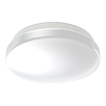 LEDVANCE CEILING ROUND 210 12W 865 IP44