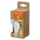 LEDVANCE LED bulb SUP UE A60 3.8W/60W E27 3000K 806lm NonDim 50Y opal