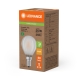 LEDVANCE LED Classic P 25 Filament Non-Dim EEA 1.2W 827 Frosted E27