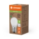 LEDVANCE LED Classic P 25 Filament Non-Dim EEA 1.2W 840 Frosted E14