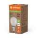 LEDVANCE LED Classic P 25 Filament Non-Dim EEA 1.2W 840 Frosted E27