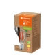 LEDVANCE LED filam.bulb UE A60 7.2W/100W E27 3000K 1521lm NonDim 50Y