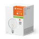 LEDVANCE LED filam.globe 1906 G125 2.5W/25W E27 2700K 250lm NonDim 15Y clear