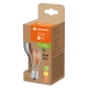 LEDVANCE LED filament bulb UE A60 4W/60W E27 3000K 840lm NonDim 50Y
