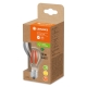 LEDVANCE LED filament bulb UE A60 5W/75W E27 3000K 1055lm NonDim 50Y