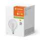 LEDVANCE LED filament globe 1906 G125 4W/40W E27 2700K 470lm NonDim 15Y clear