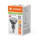 LEDVANCE LED reflector PFM R50 5.9W/60W E14 2700K 350lm/36° Dim 25Y glass