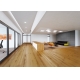 LEDVANCE LED strip PERF.PROT. 4.2W/m 24V 2700K 475lm/m IP67 roll.5m