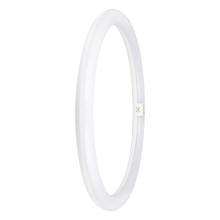 LEDVANCE LED tube SubstiTUBE VAL EM circle. 24W/40W G10q 2900lm/865 30Y
