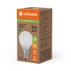 LEDVANCE LEDCLP60EELA 3.8W 827 FILFR E14 WITH LEDV