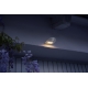 LEDVANCE light.bater.LED DOORLED.DOWN 0.95W 40lm/840 PIR; silver
