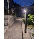 LEDVANCE light column LED EnduraS Bouquet 6W 550lm/830 50cm IP44 sensor black