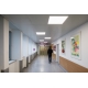 LEDVANCE light panel LED PL.ECO 36W 3600lm/865 IP40/20 50Y; 60x60 BL