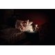 LEDVANCE night light LED RABBIT TOUCH 0.5W 20lm/RGBW ;USB