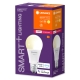 LEDVANCE SMART+ bulb A60 9W/60W E27 2700K 806lm Dim 20Y opal ZB