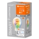 LEDVANCE SMART+ filam.bulb A60 4.8W/40W E27 RGBW 470lm Dim 15Y WIFI