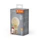 LEDVANCE SMART+ filam.bulb A60 6W/53W E27 2400K 680lm Dim 15Y gold WIFI