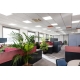 LEDVANCE SMART+ filam.bulb ST60 6W/60W E27 2700K 806lm Dim 15Y WIFI