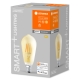 LEDVANCE SMART+ filam.bulb ST64 6W/53W E27 2400K 680lm Dim 15Y gold WIFI