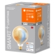 LEDVANCE SMART+ filam.globe G125 8W/50W E27 27-6500K 650lm Dim 15Y gold WIFI