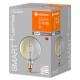 LEDVANCE SMART+ filam.globe G200 6W/44W E27 2500K 540lm Dim 15Y smoke.WIFI