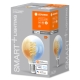 LEDVANCE SMART+ filam.globe G80 8W/60W E27 27-6500K 806lm Dim 15Y clear WIFI