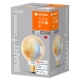 LEDVANCE SMART+ filam.globe G95 8W/50W E27 22-5000K 650lm Dim 15Y gold WIFI