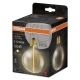 LEDVANCE Vintage 1906 Globe 95 12 Filament Magnetic 2.2W 827 Gold E27