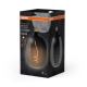 LEDVANCE Vintage LED CLASSIC Ballon 170 15 Smoke NON-Dimmable 4.5W/818 E27