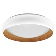 ORBIS LIVIA 430 24W830CLICKDIM WTWDOSRAM
