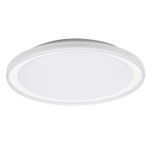 ORBIS PEDERSON 450MM 24W 830 WT    LEDV