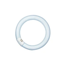 OSRAM fluorescent circular LUMILUX L22/865 C (21) G10q