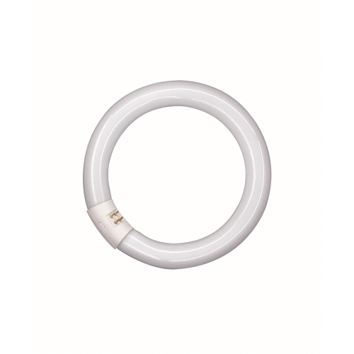OSRAM fluorescent circular LUMILUX L22/865 C (21) G10q